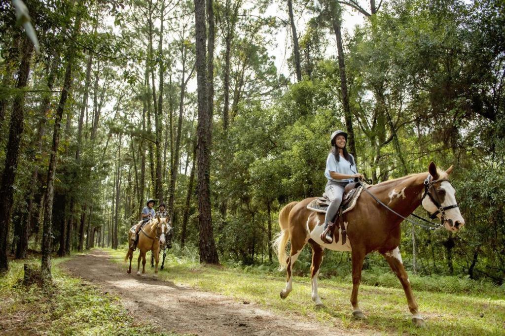 The Cabins At Disney'S Fort Wilderness Resort Lake Buena Vista Eksteriør bilde